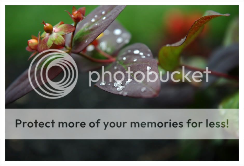 IMAGE: http://i707.photobucket.com/albums/ww71/Cole_S_Photo/179.jpg