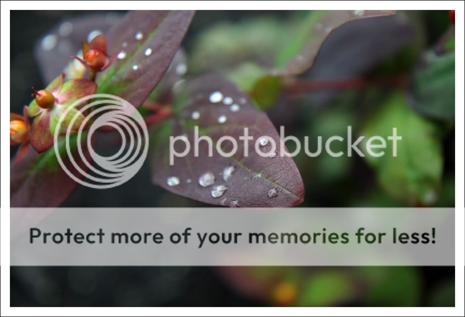 IMAGE: http://i707.photobucket.com/albums/ww71/Cole_S_Photo/180.jpg