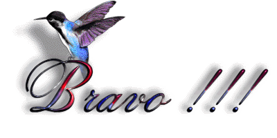 bravo.gif Bravo image by RoseDesVentsClaire
