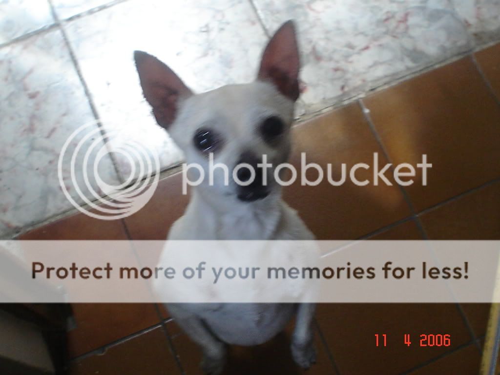 Imagen097.jpg HOLA ÑEÑO!! picture by cheetor182