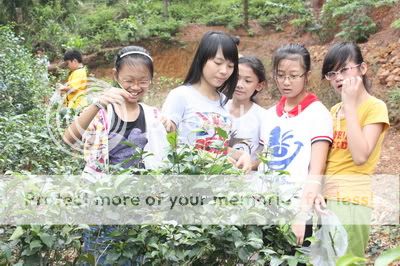 http://i707.photobucket.com/albums/ww78/LeDuan/51haiche3.jpg