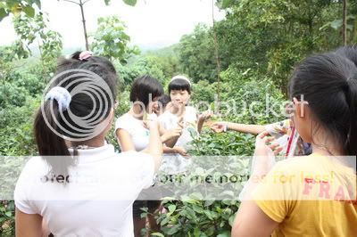 http://i707.photobucket.com/albums/ww78/LeDuan/52haiche4.jpg
