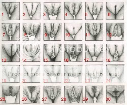 Image Source,Photobucket Uploader Firefox Extension