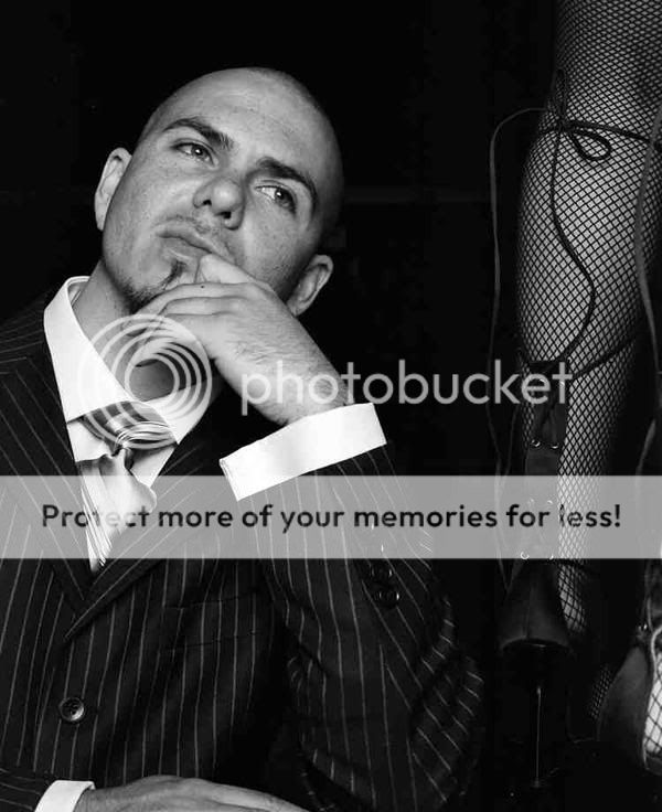 PITBULL Pictures, Images and Photos