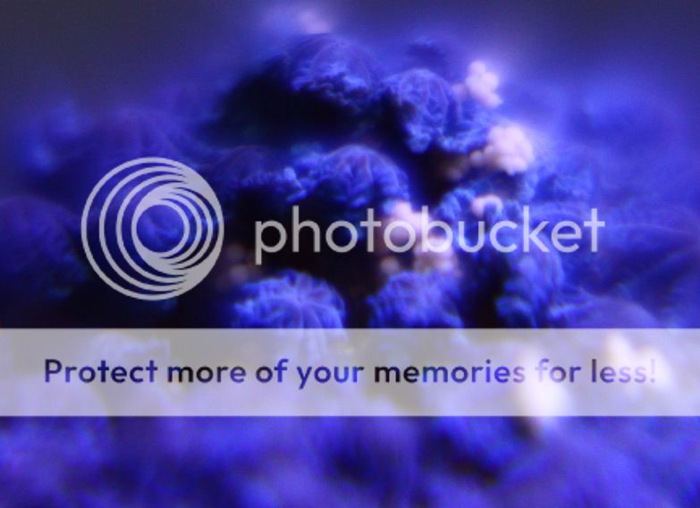 Posted Image
